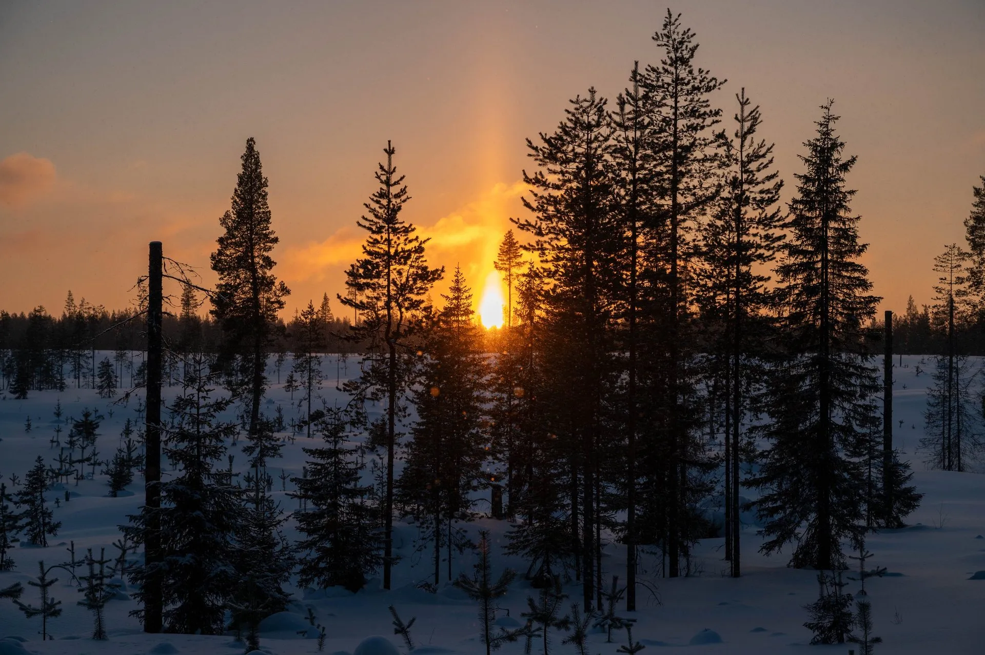Oulanka Nationalpark, photo 6