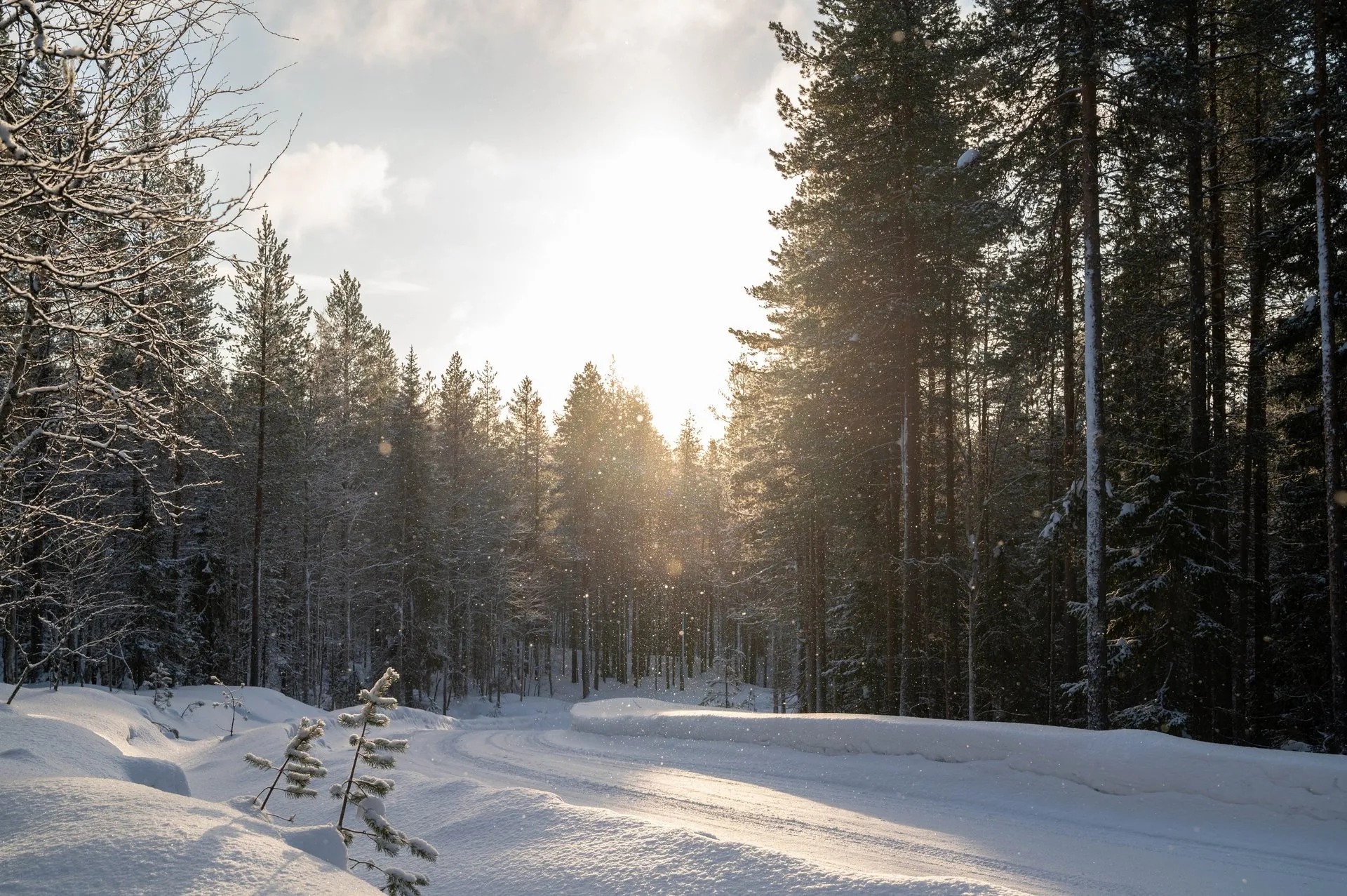 Oulanka Nationalpark, photo 7