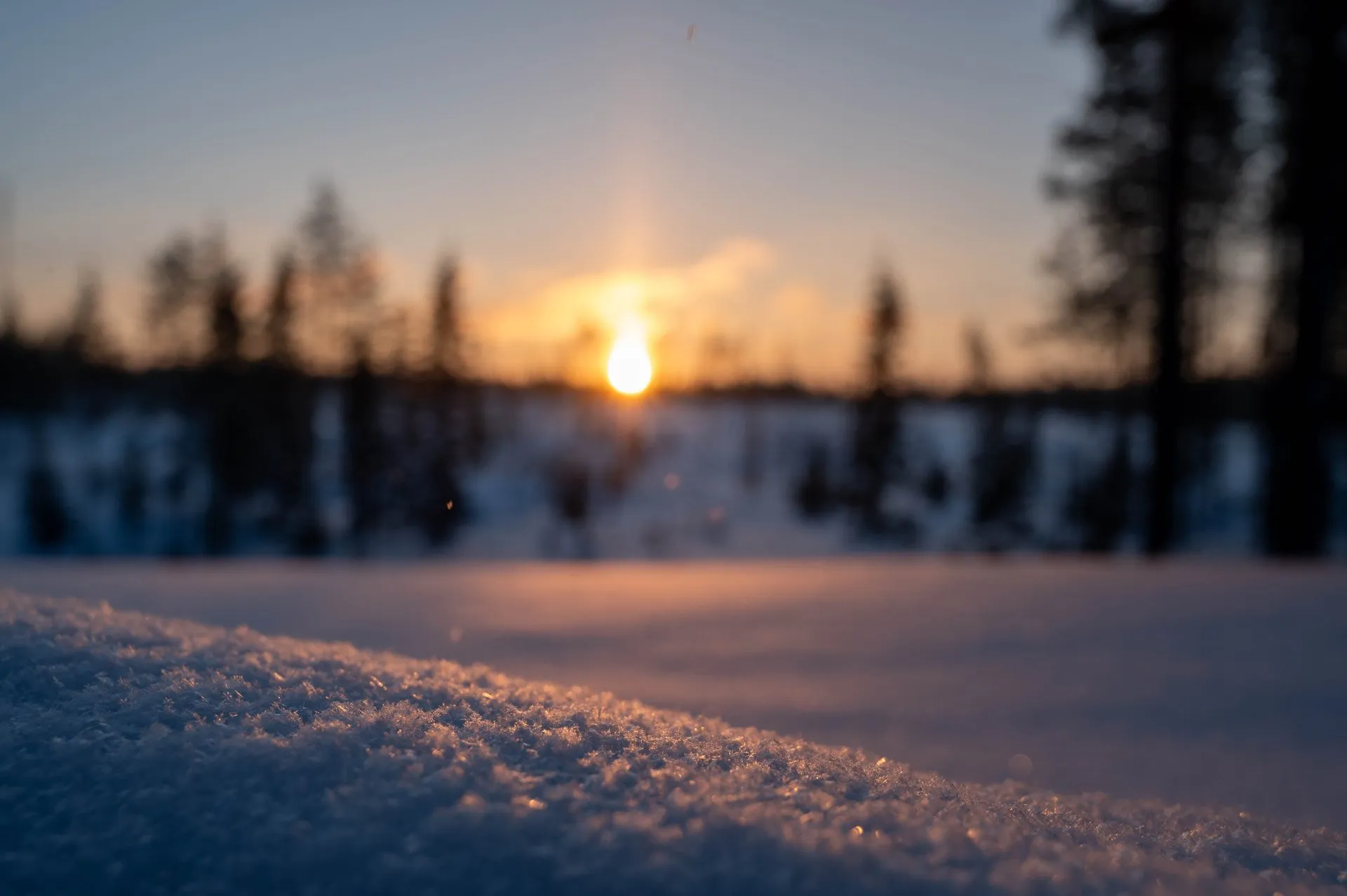 Oulanka Nationalpark, photo 8