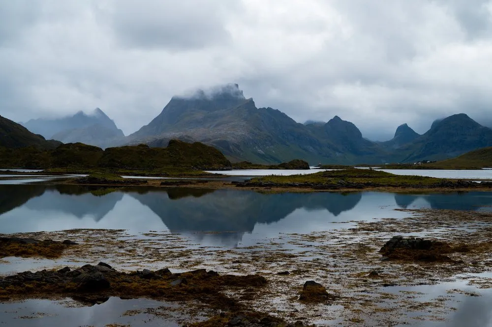 Flat water with the reflection of a mountain massif whose summit is in cloud, kelp on stones in front