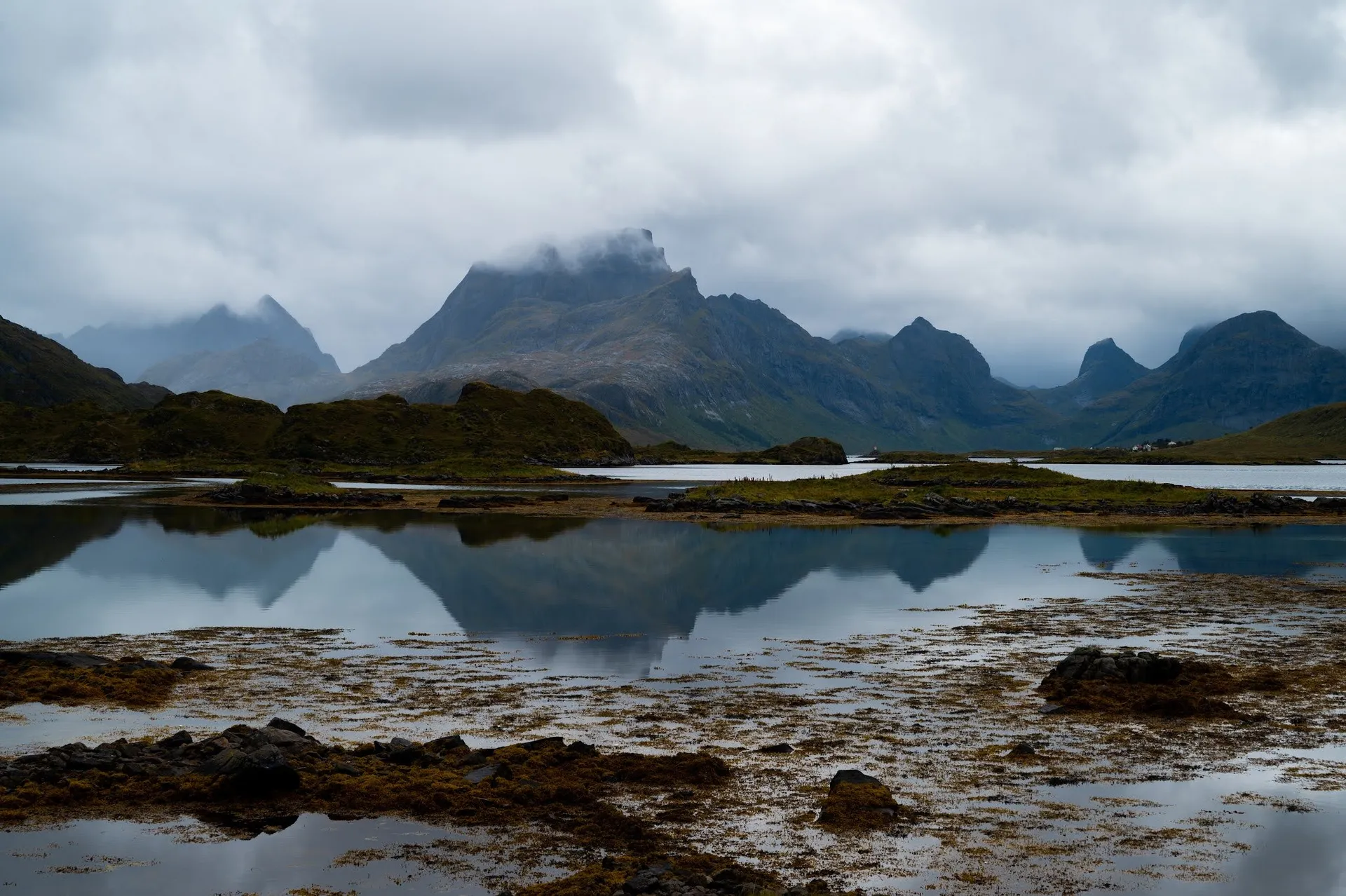 Flaches Wasser mit der Spiegelung eines Bergmassivs, dessen Gipfel in Wolken liegt, davor Tang auf Steinen