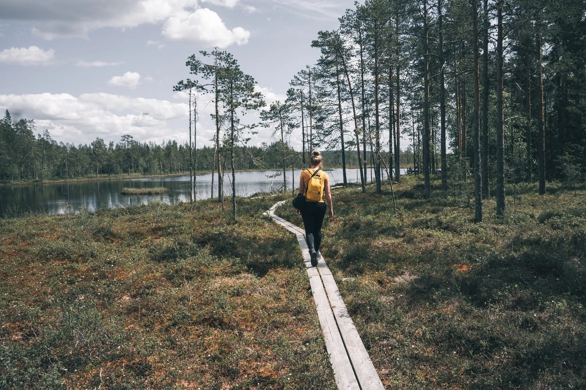 Hiker with a yellow backpack on a narrow wooden boardwalk through the bog in Hamra National Park, a forest lake to the left