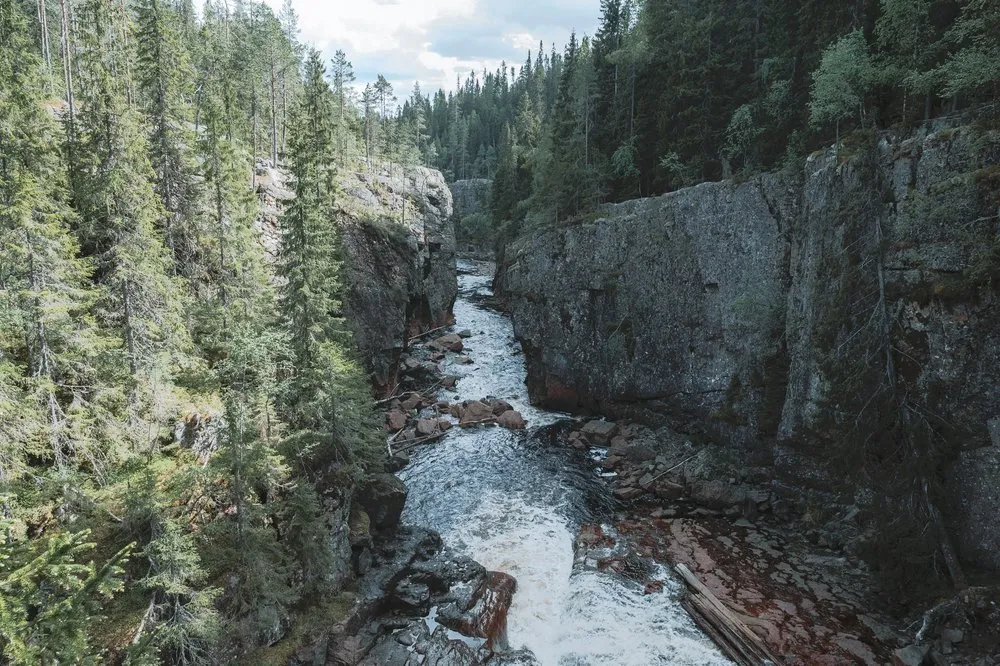 Blick in die Schlucht am Helvetesfallet mit rötlich-braunem Gestein und schäumendem Wasser zwischen Fichten
