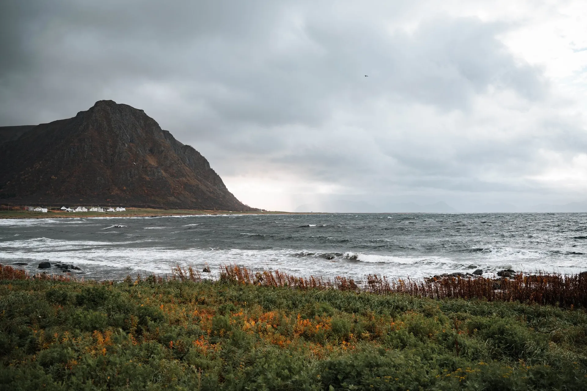 A dark mountain with white houses at its foot above the rough bay at Nøss, green and orange plants in the foreground