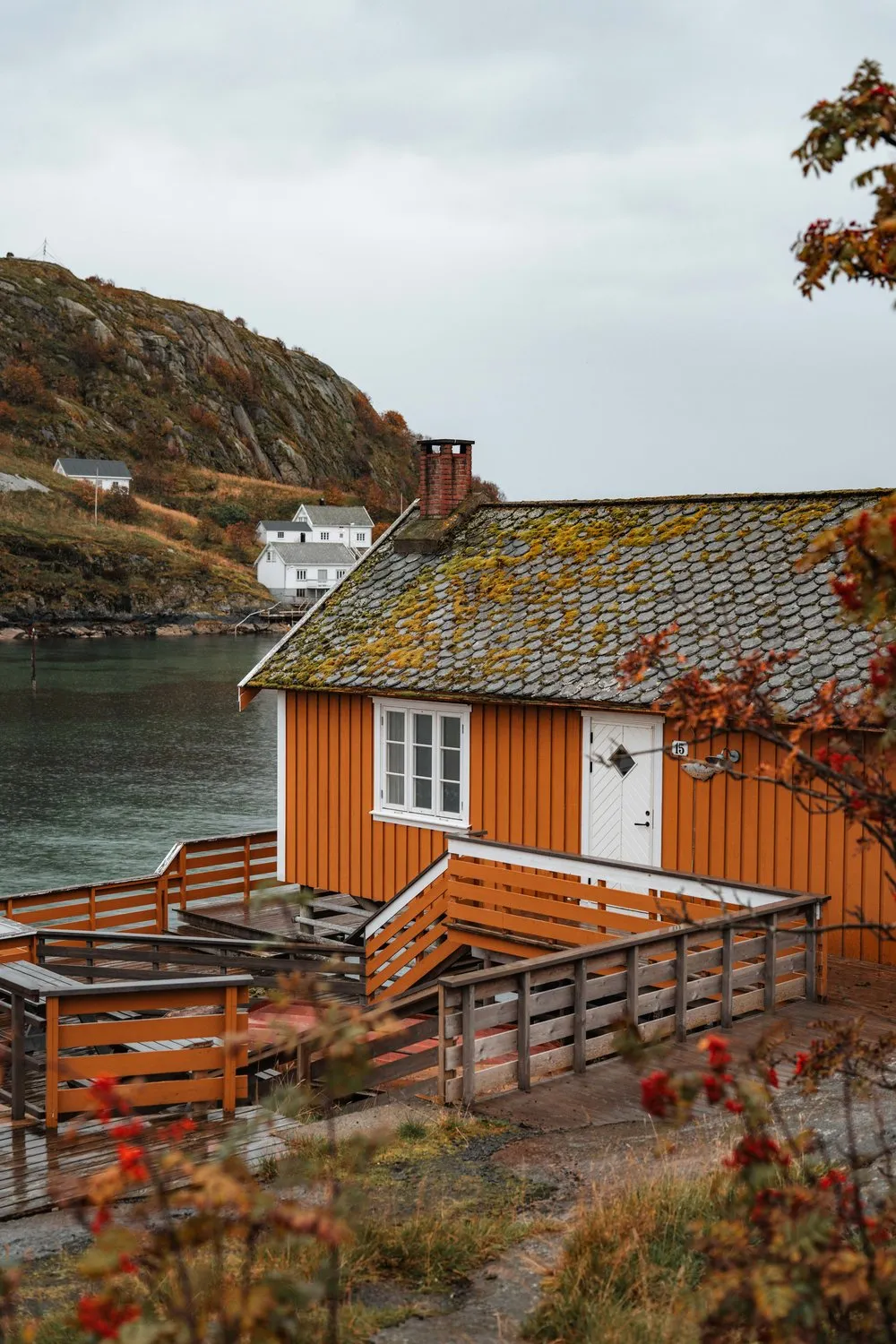 An ochre house with a mossy roof in Sakrisøy, red rowan berries in front