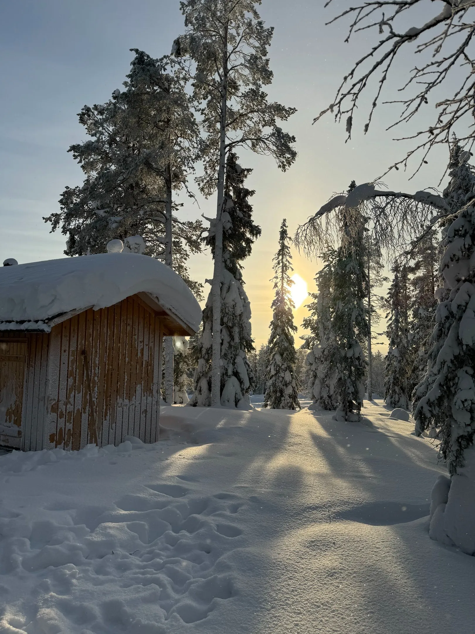 Rentierfarm & Riisitunturi Nationalpark. Bild 23
