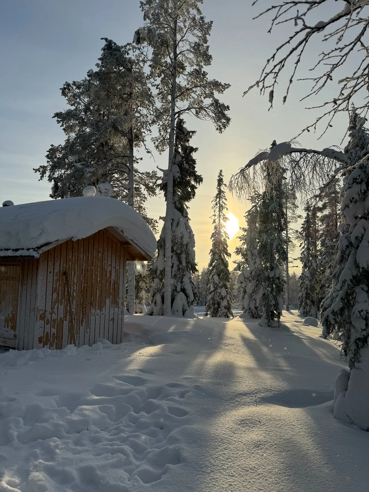 Eine Holzhütte im Wald, die Sonne bricht durch die Zweige