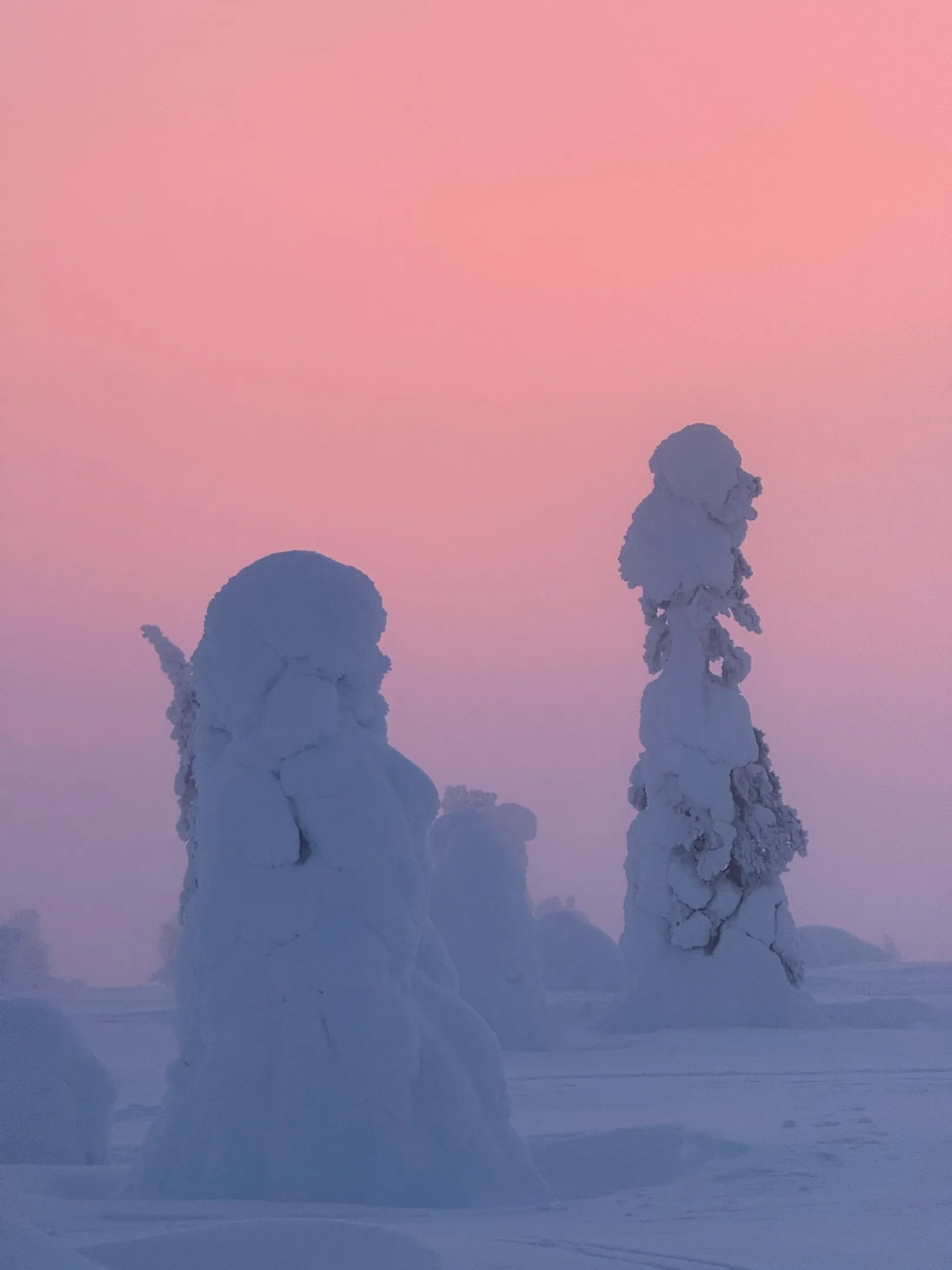 Riisitunturi Nationalpark bei Dämmerung. Bild 3