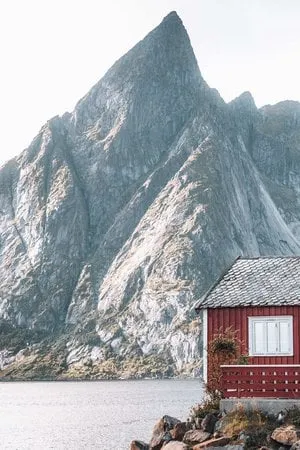 Sakrisøy - Nusfjord. Bild 22