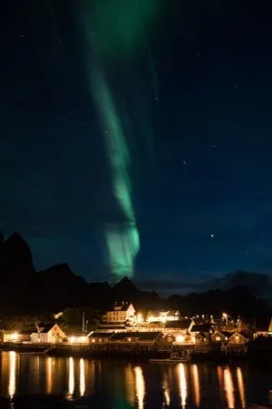Sakrisøy - Nusfjord. Bild 29