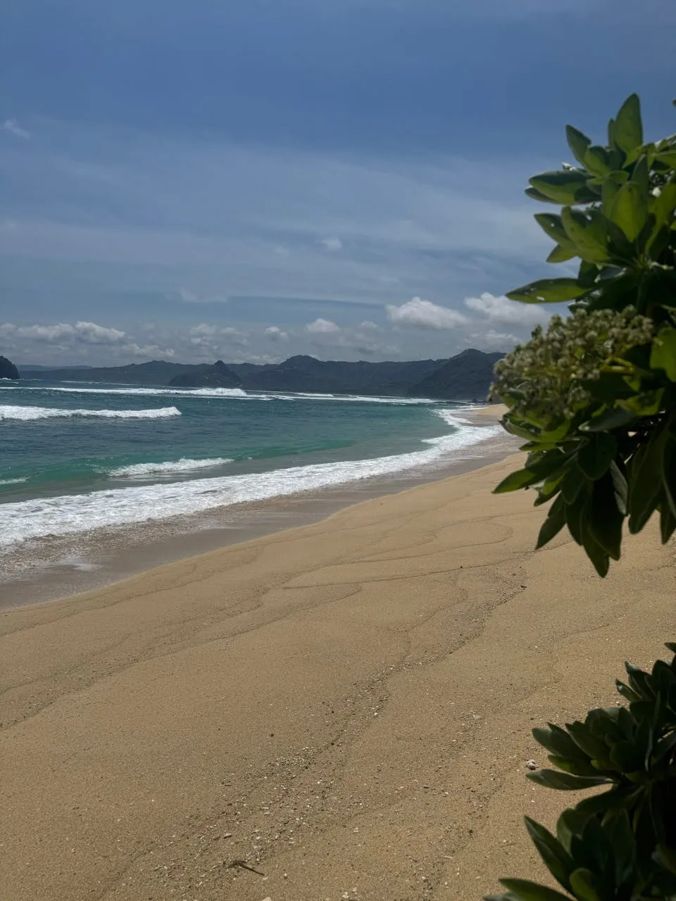 Auslaufende Wellen am Sandstrand, in der Ferne dunkle Landzungen unter Wolken, rechts Blätter im Vordergrund