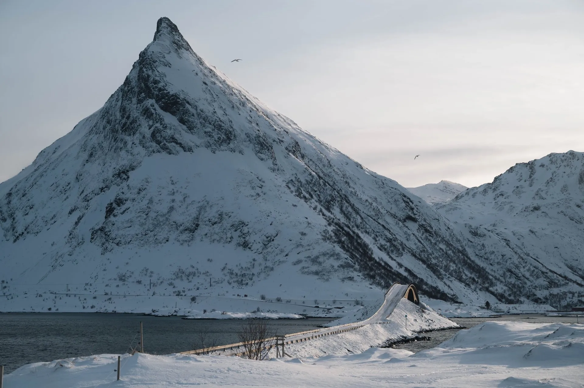Snowsnakes auf den Lofoten, photo 9