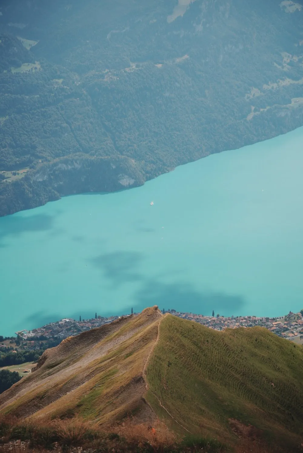 The view from the ridge down onto the turquoise water of Lake Brienz and the villages along its shore