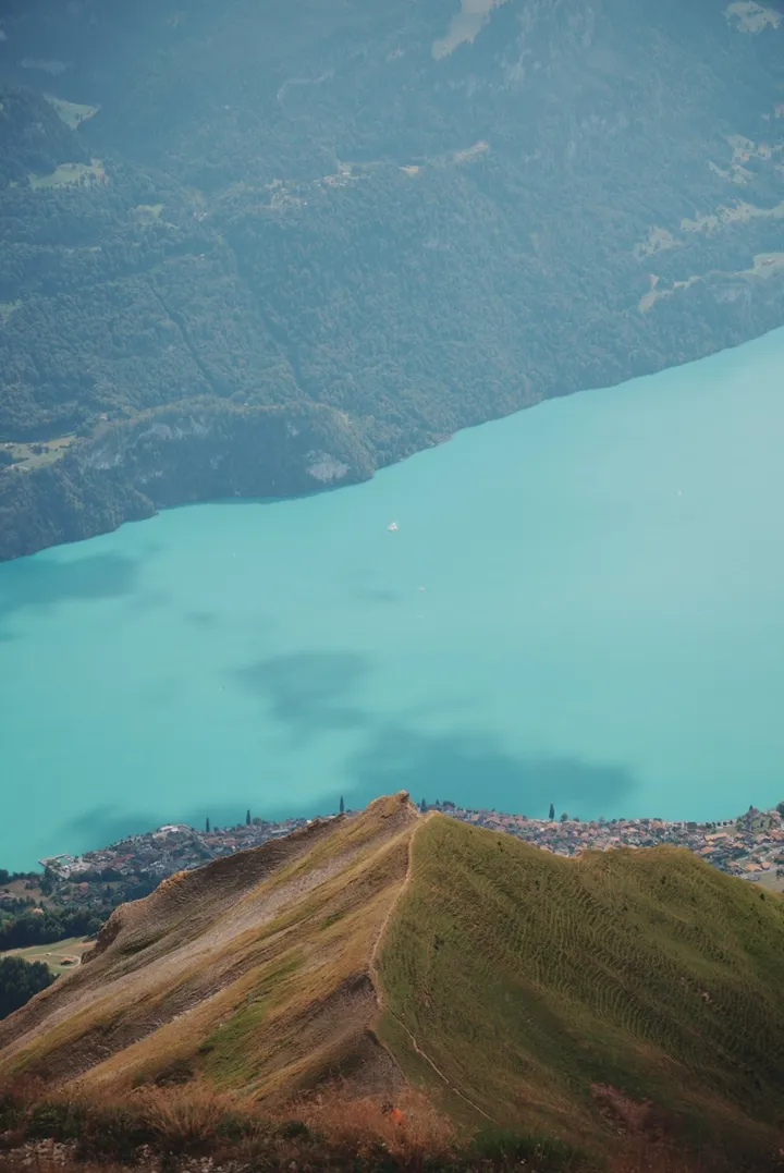Blick vom Grat über dem Brienzersee hinunter auf das türkise Wasser und die Dörfer am Ufer