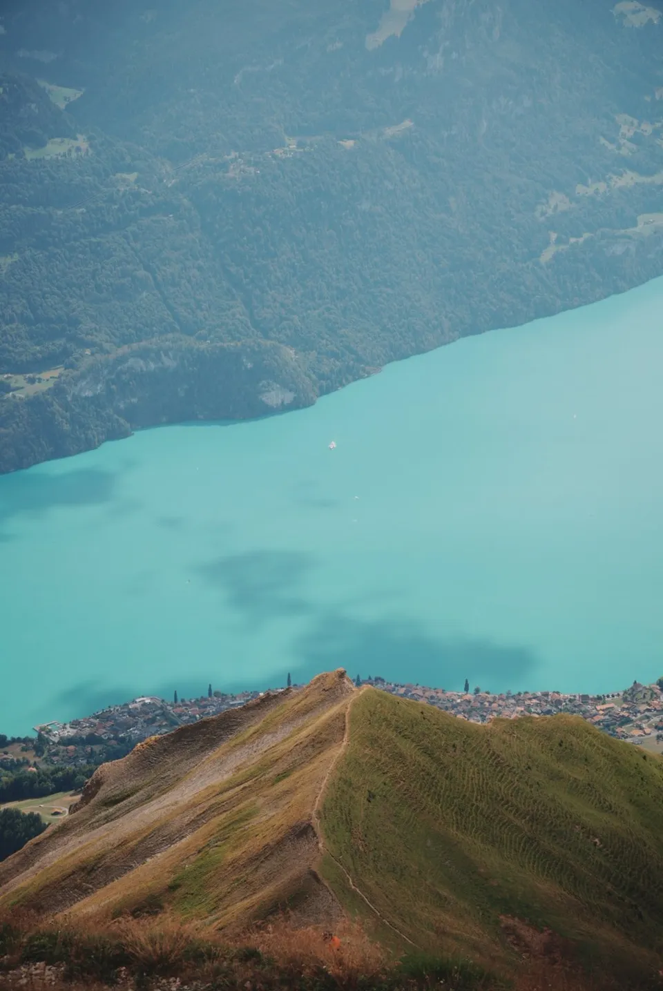 Blick vom Grat über dem Brienzersee hinunter auf das türkise Wasser und die Dörfer am Ufer