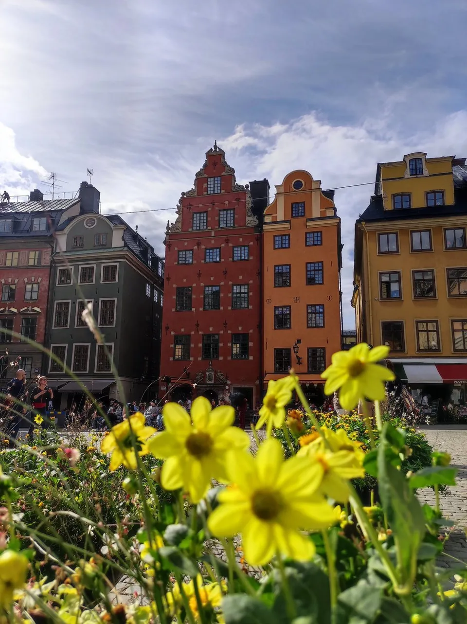 Die bunten Giebelhäuser am Stortorget in Gamla Stan, davor gelbe Blumen
