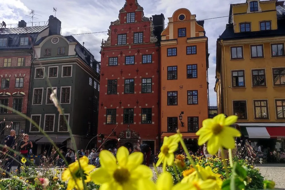 The colourful gabled houses on Stortorget in Gamla Stan, yellow flowers in front