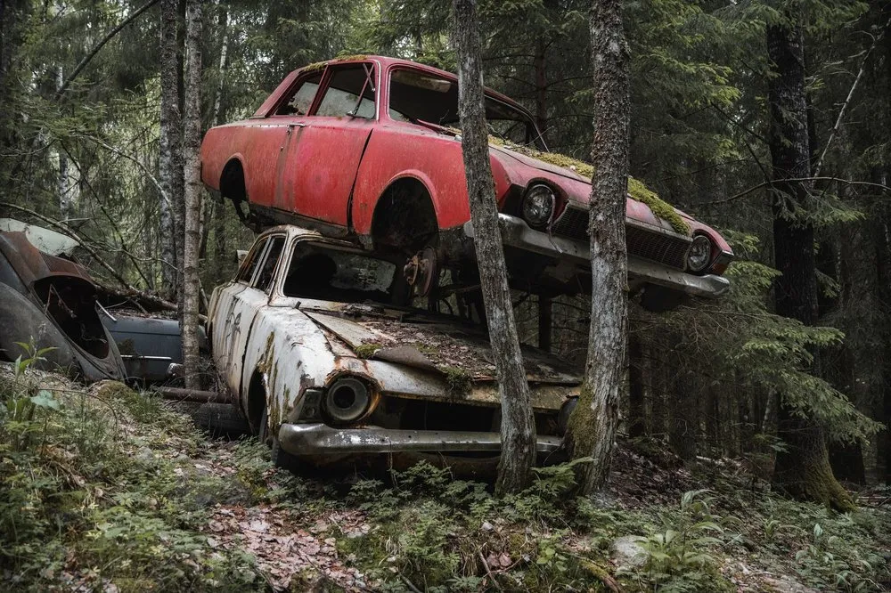 Auf dem Autofriedhof Båstnäs liegt ein rotes Wrack über einem hellen, dazwischen Baumstämme und Nadelwald