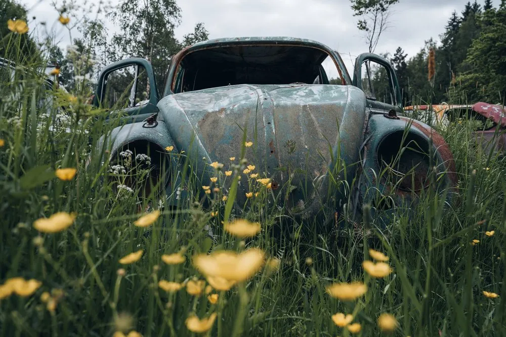 A turquoise-green wreck in tall grass between yellow flowers, photographed from a low angle