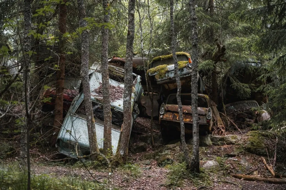 Several wrecks are piled up on a wooded slope between tree trunks
