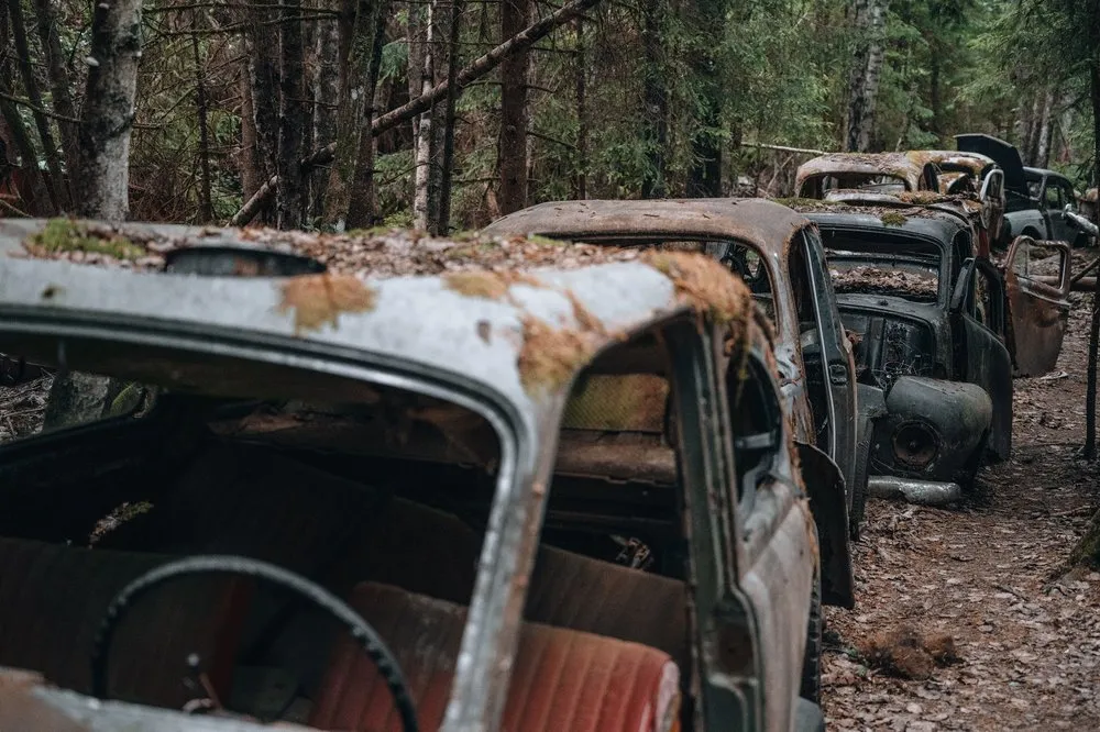 Moss-covered car roofs in a row along a forest track, steering wheel and red seats in the foreground