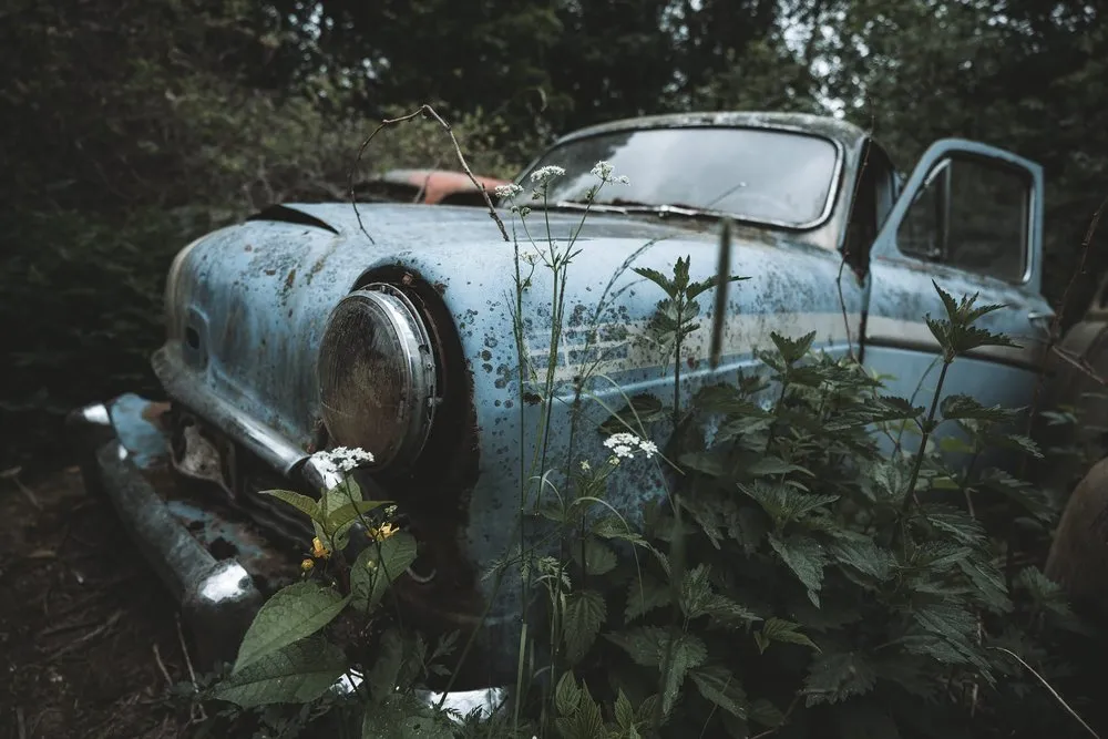 A light blue wreck with a round headlight and an open door, dense greenery in front