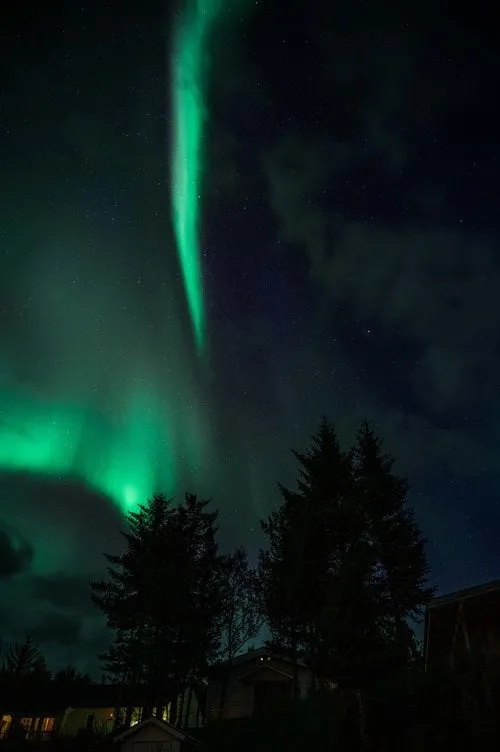 Svolvær - Senja. Bild 30