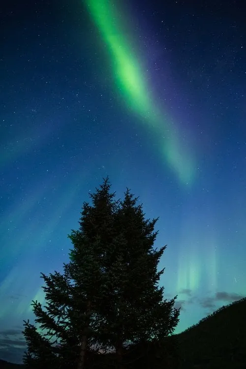 Svolvær - Senja. Bild 32
