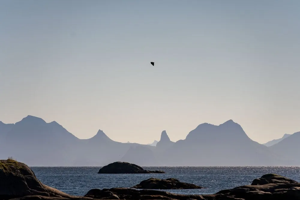 Svolvær - Senja. Bild 5