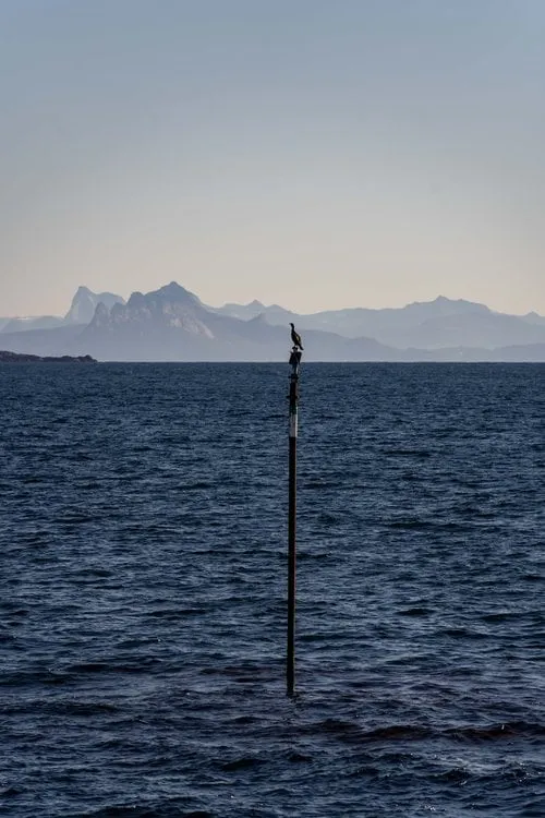 Svolvær - Senja. Bild 8