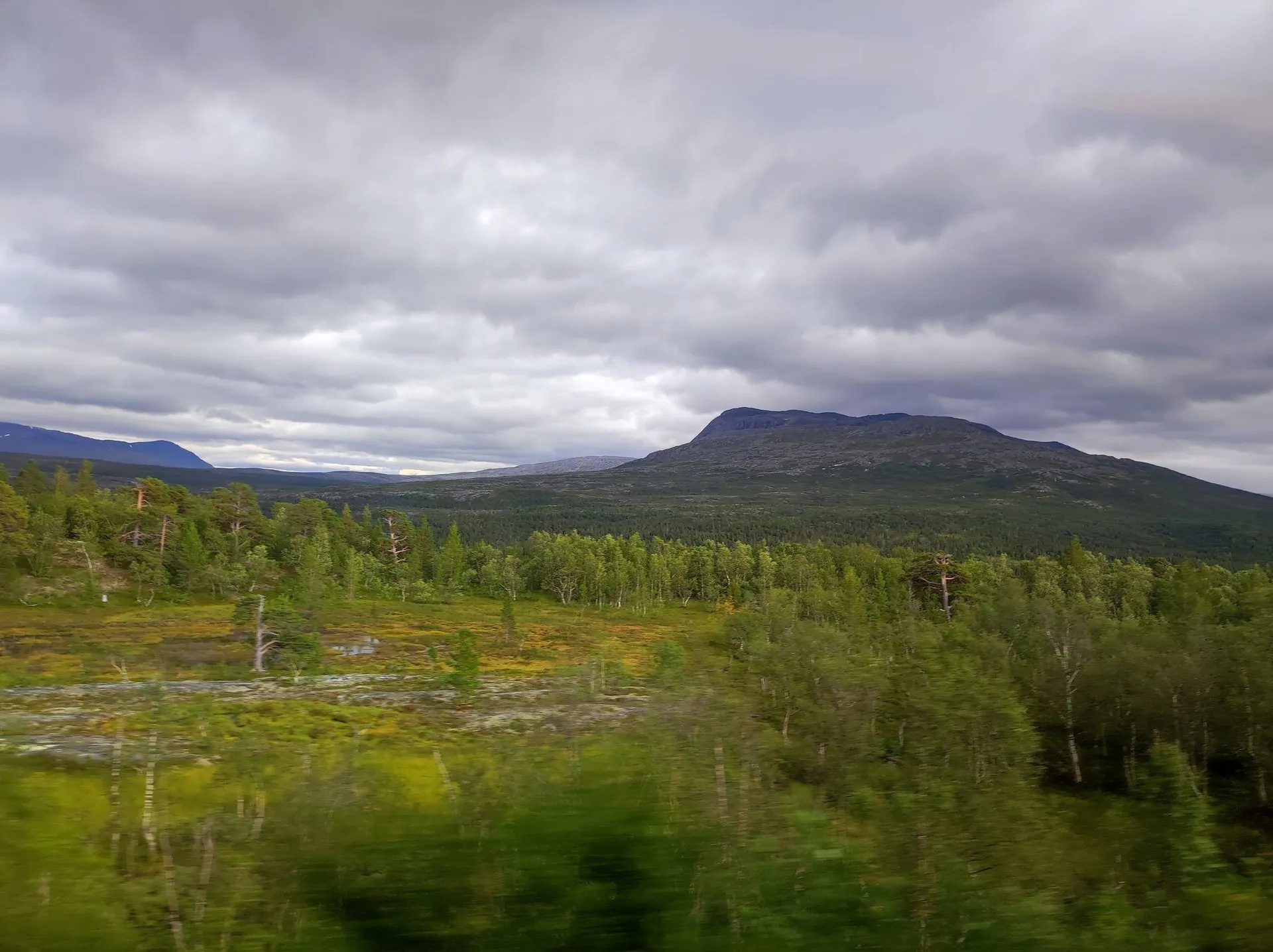 Trondheim - Bodø. Bild 2