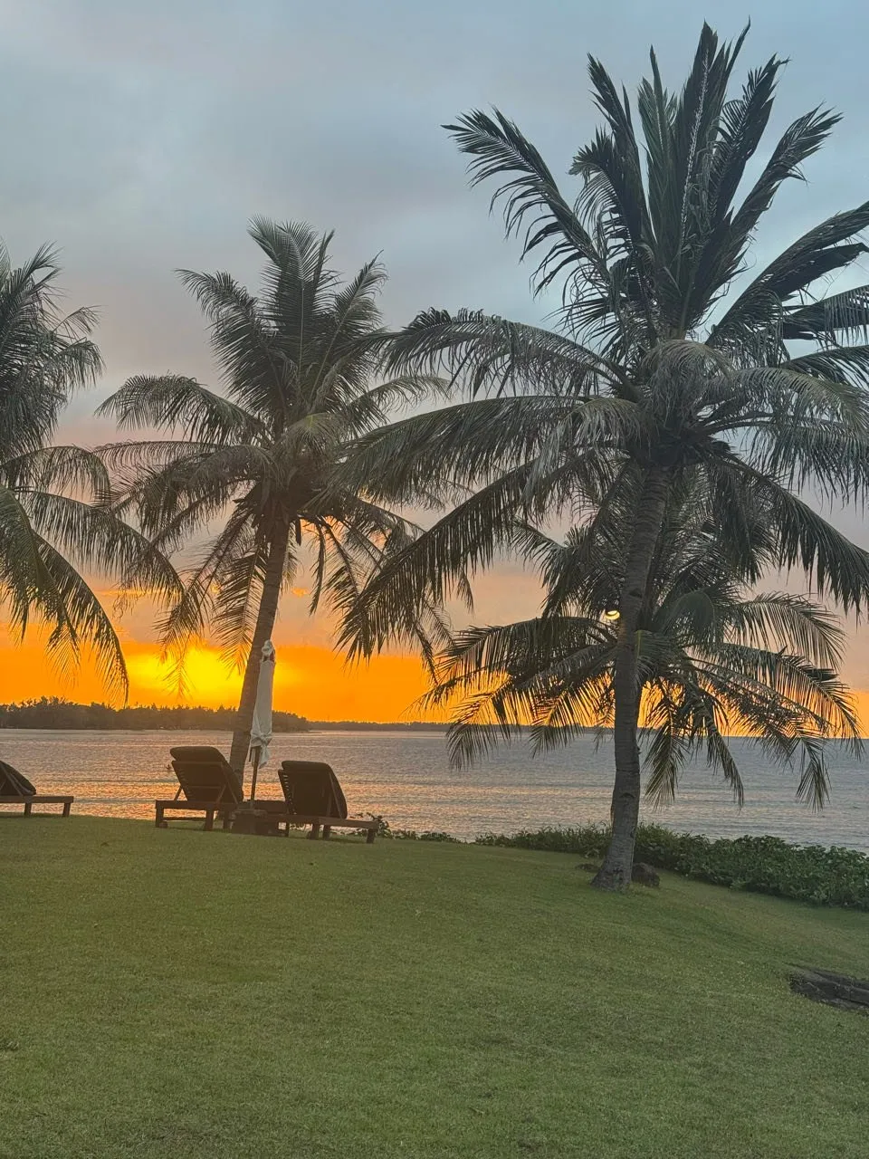 Liegen und ein geschlossener Sonnenschirm auf dem Rasen unter Palmen, dahinter das Meer im orangen Abendlicht