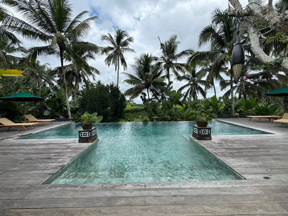 Der Pool mit Holzdeck und Liegen zwischen Palmen, im Hintergrund grüne Felder unter Wolkenhimmel