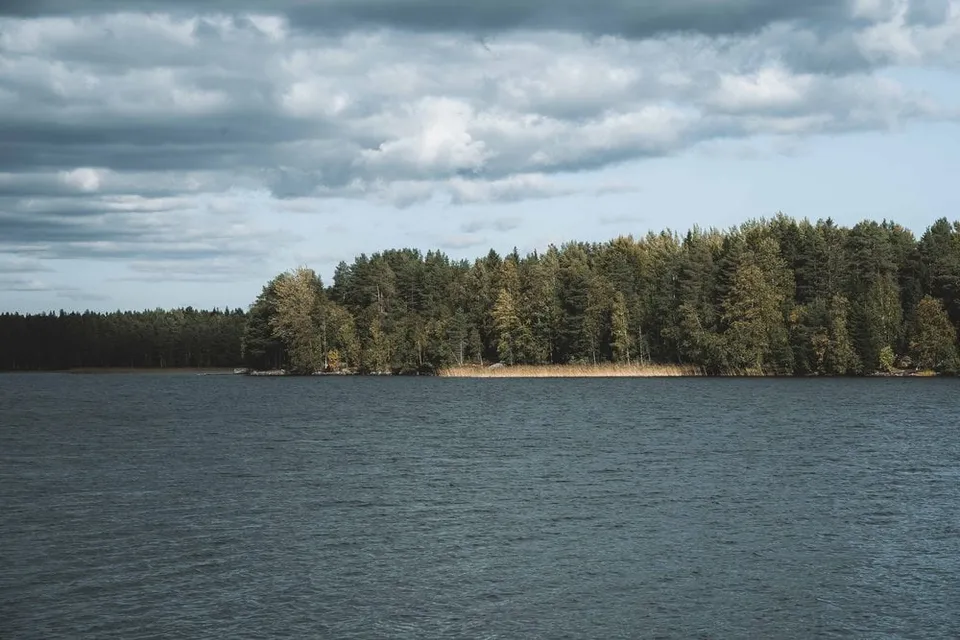 Das bewaldete Ufer des Nydalasjön bei Umeå