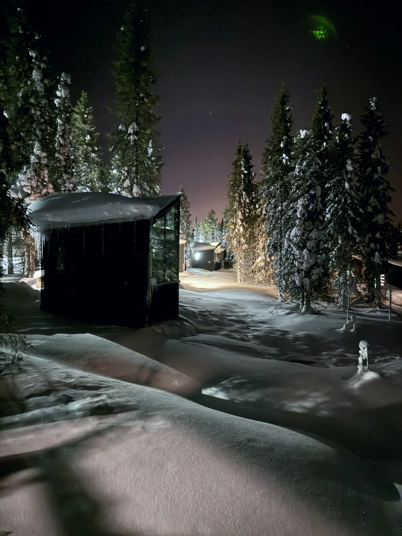 Of Magical Ponds and the tripod hunt