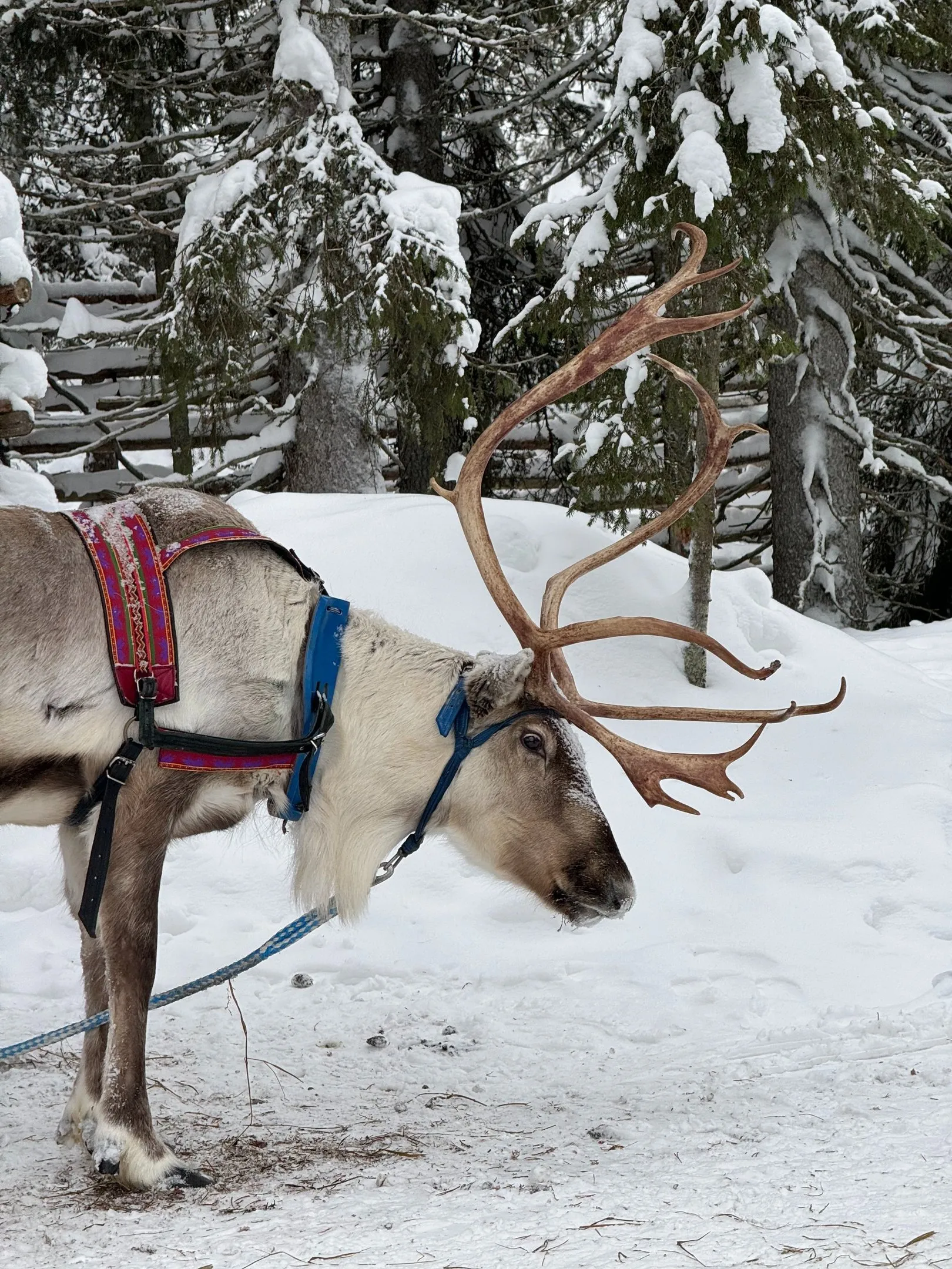 Von Magical Ponds und der Stativjagd, photo 5