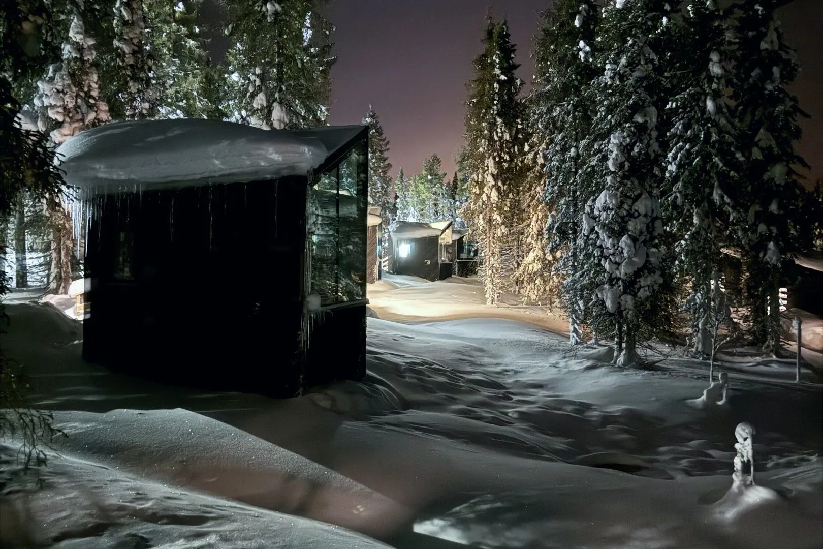 The glass igloo in the night forest with faint northern lights above