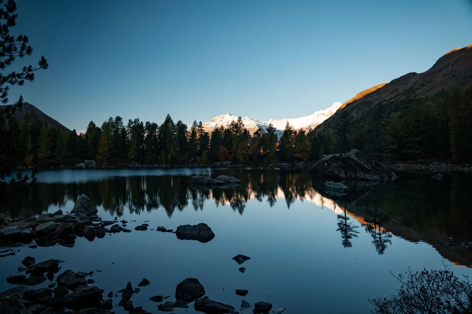 Der Lagh da Saoseo im blauen Schatten des Morgens, über dem Wald am anderen Ufer leuchten verschneite Gipfel im ersten Sonnenlicht