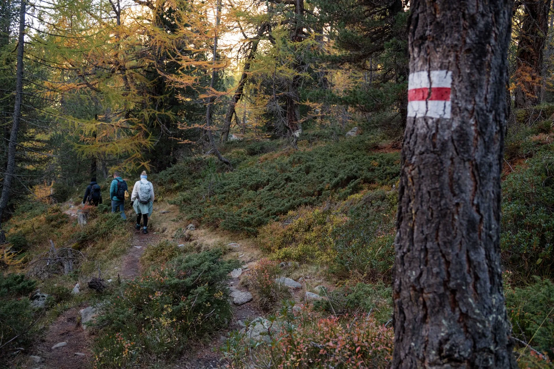 Drei von uns auf dem schmalen Pfad am Lagh da Val Viola, vorne ein Baumstamm mit weiss-rot-weisser Markierung