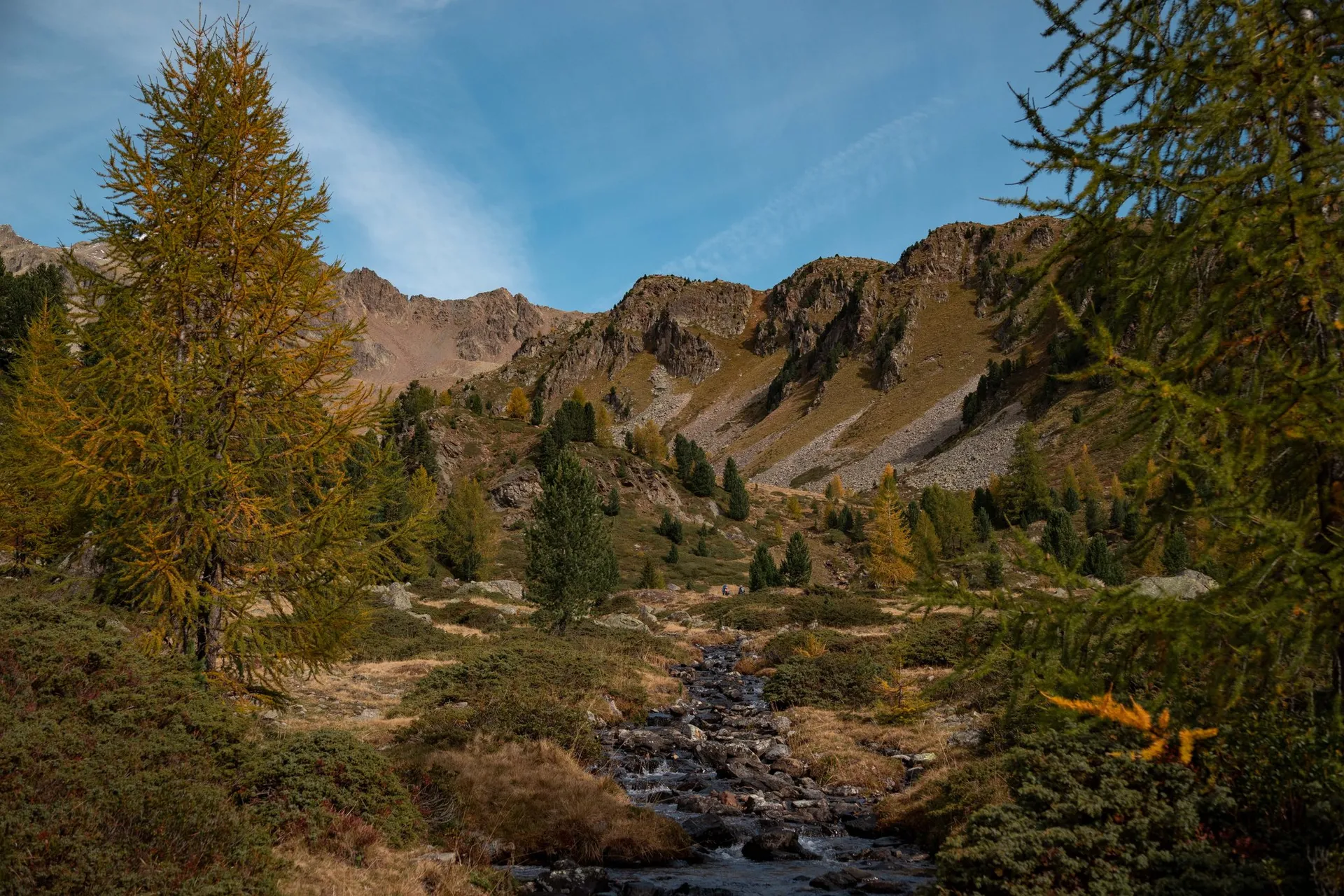 Ein Bach zwischen gelben Lärchen und Arven, dahinter Grashänge mit Geröll und Felskämme unter blauem Himmel